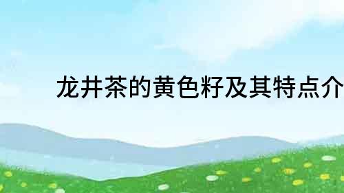 龍井茶的黃色籽及其特點介紹