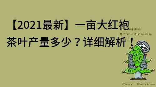 【2023最新】一畝大紅袍茶葉產量多少？詳細解析！