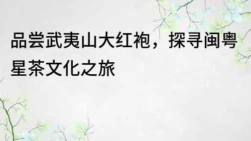 品嘗武夷山大紅袍，探尋閩粵星茶文化之旅