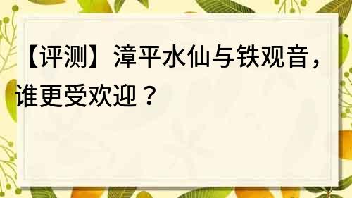 【評測】漳平水仙與鐵觀音，誰更受歡迎？