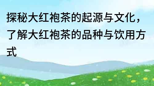 探秘大紅袍茶的起源與文化，了解大紅袍茶的品種與飲用方式