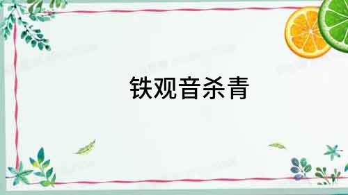 鐵觀音殺青