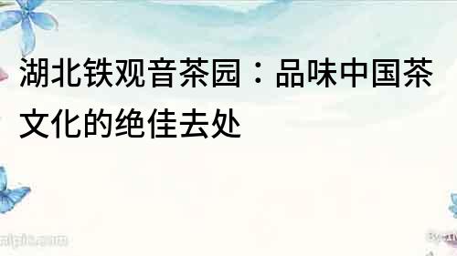 湖北鐵觀音茶園：品味中國茶文化的絕佳去處