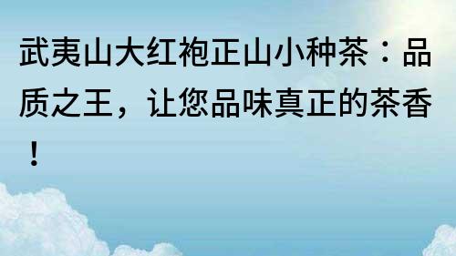 武夷山大紅袍正山小種茶：品質(zhì)之王，讓您品味真正的茶香！