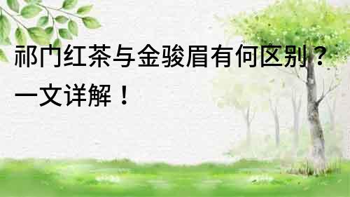 祁門紅茶與金駿眉有何區(qū)別？一文詳解！