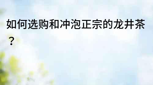 如何選購和沖泡正宗的龍井茶？