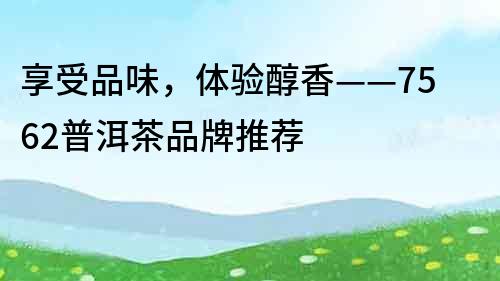 享受品味，體驗醇香——7562普洱茶品牌推薦