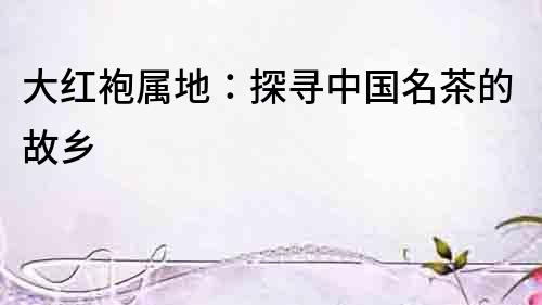 大紅袍屬地：探尋中國(guó)名茶的故鄉(xiāng)