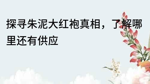 探尋朱泥大紅袍真相，了解哪里還有供應