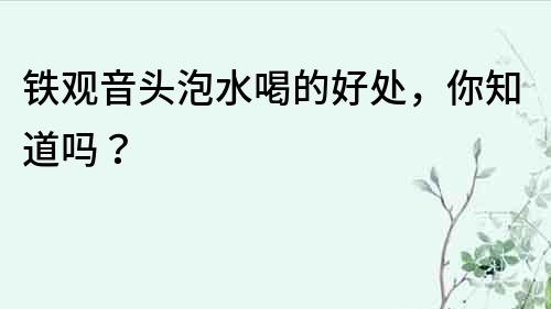 鐵觀音頭泡水喝的好處，你知道嗎？