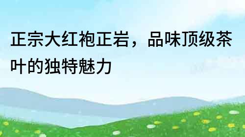 正宗大紅袍正巖，品味頂級茶葉的獨特魅力