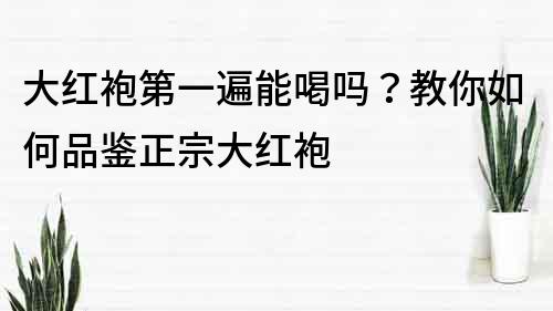 大紅袍第一遍能喝嗎？教你如何品鑒正宗大紅袍