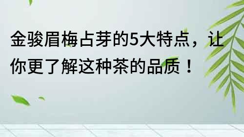 金駿眉梅占芽的5大特點，讓你更了解這種茶的品質！