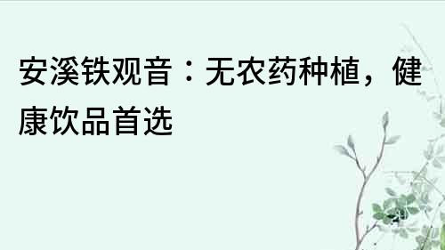 安溪鐵觀音：無農藥種植，健康飲品首選