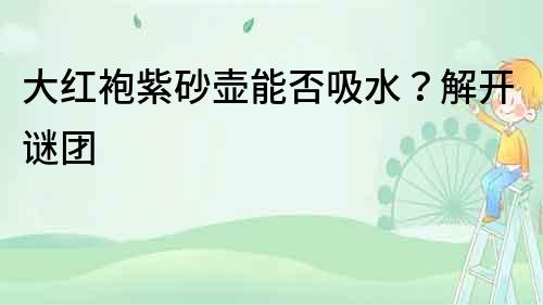大紅袍紫砂壺能否吸水？解開謎團(tuán)