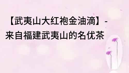 【武夷山大紅袍金油滴】- 來(lái)自福建武夷山的名優(yōu)茶