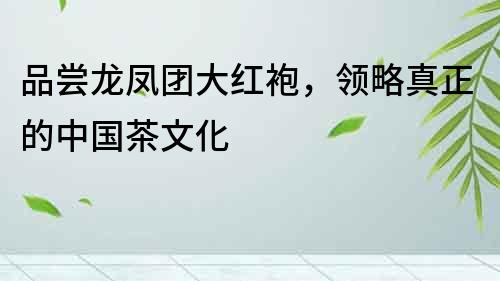 品嘗龍鳳團大紅袍，領略真正的中國茶文化
