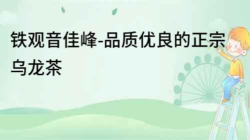 鐵觀音佳峰-品質(zhì)優(yōu)良的正宗烏龍茶