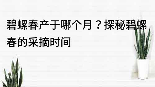 碧螺春產于哪個月？探秘碧螺春的采摘時間