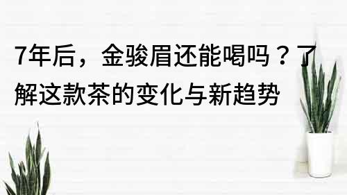 7年后，金駿眉還能喝嗎？了解這款茶的變化與新趨勢