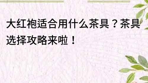 大紅袍適合用什么茶具？茶具選擇攻略來啦！