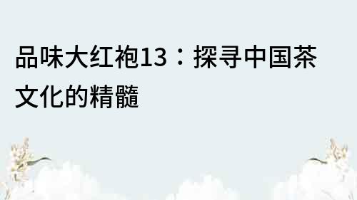 品味大紅袍13：探尋中國茶文化的精髓