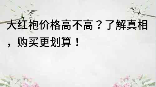 大紅袍價格高不高？了解真相，購買更劃算！