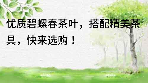 優質碧螺春茶葉，搭配精美茶具，快來選購！