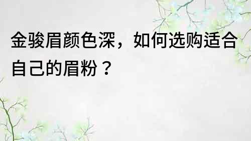 金駿眉顏色深，如何選購適合自己的眉粉？