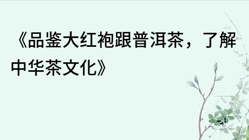 《品鑒大紅袍跟普洱茶，了解中華茶文化》