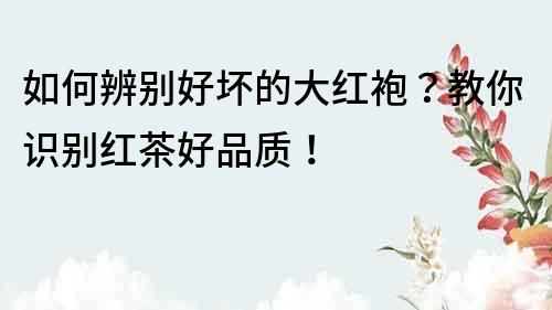如何辨別好壞的大紅袍？教你識別紅茶好品質！