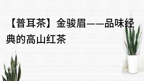 【普耳茶】金駿眉——品味經典的高山紅茶