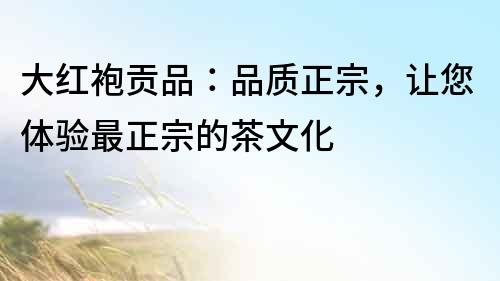 大紅袍貢品：品質(zhì)正宗，讓您體驗最正宗的茶文化
