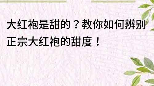 大紅袍是甜的？教你如何辨別正宗大紅袍的甜度！