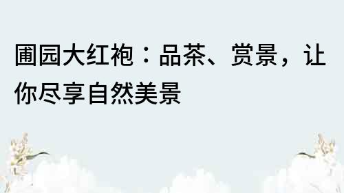 圃園大紅袍：品茶、賞景，讓你盡享自然美景