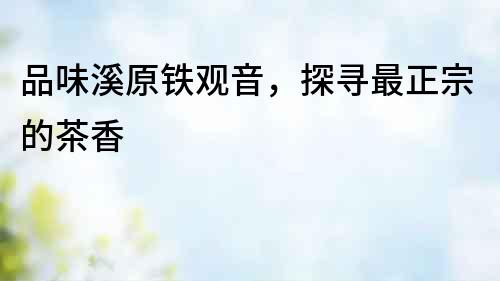 品味溪原鐵觀音，探尋最正宗的茶香