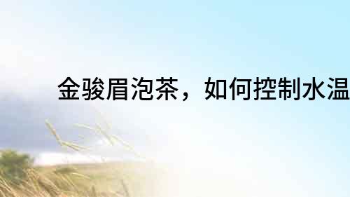 金駿眉泡茶，如何控制水溫？