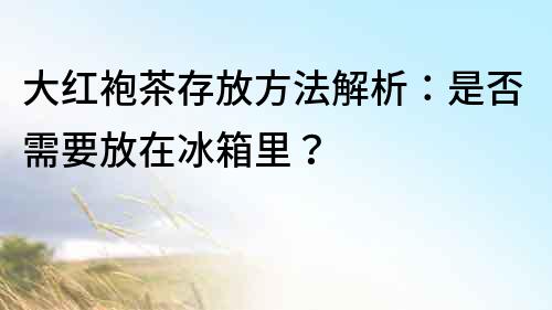 大紅袍茶存放方法解析：是否需要放在冰箱里？