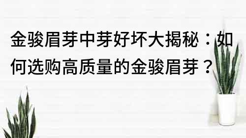金駿眉芽中芽好壞大揭秘：如何選購(gòu)高質(zhì)量的金駿眉芽？