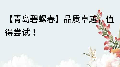 【青島碧螺春】品質卓越，值得嘗試！