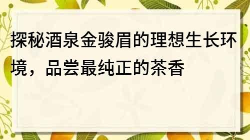 探秘酒泉金駿眉的理想生長環境，品嘗最純正的茶香