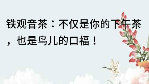 鐵觀音茶：不僅是你的下午茶，也是鳥兒的口福！