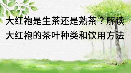 大紅袍是生茶還是熟茶？解讀大紅袍的茶葉種類和飲用方法