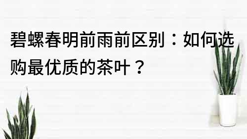碧螺春明前雨前區別：如何選購最優質的茶葉？