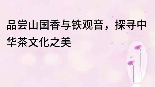 品嘗山國香與鐵觀音，探尋中華茶文化之美