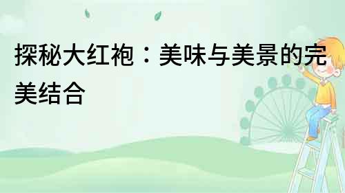 探秘大紅袍：美味與美景的完美結合