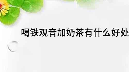 喝鐵觀音加奶茶有什么好處？