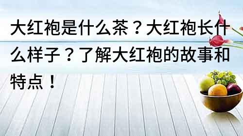 大紅袍是什么茶？大紅袍長什么樣子？了解大紅袍的故事和特點！