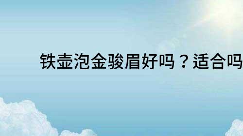 鐵壺泡金駿眉好嗎？適合嗎？