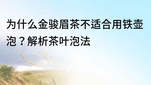 為什么金駿眉茶不適合用鐵壺泡？解析茶葉泡法